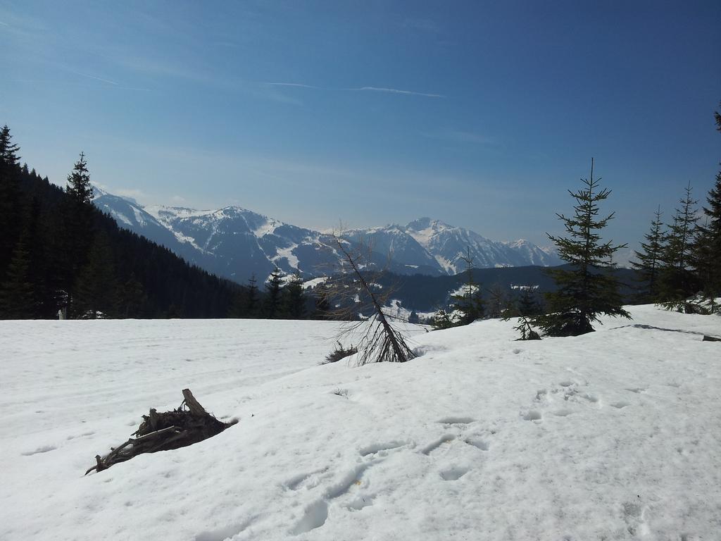 Appartement Hubertus Flachau Rum bild